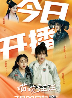 Кошка с собакой